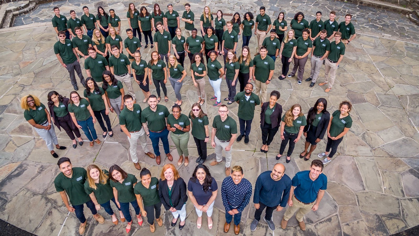 overhead shot of multiple members of the green team