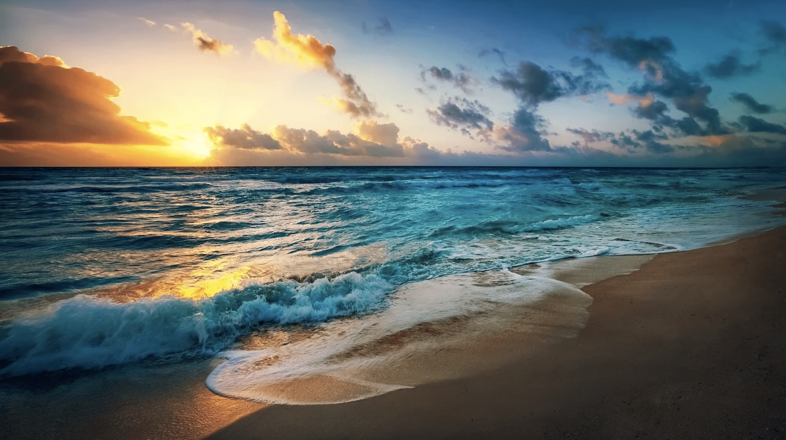 Feels Like Summer - WMSC 90.3 FM - Vimarsana News